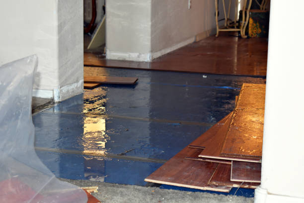 Professional Burst Pipe Cleanup technician working in Greenlawn, NY